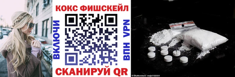 где продают наркотики  Нижняя Тура  Cocaine FishScale 