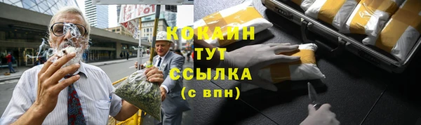ешки Домодедово