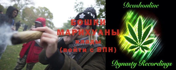 крисы Лабытнанги