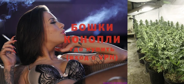 винт Ладушкин